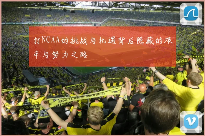 打NCAA的挑战与机遇背后隐藏的艰辛与努力之路