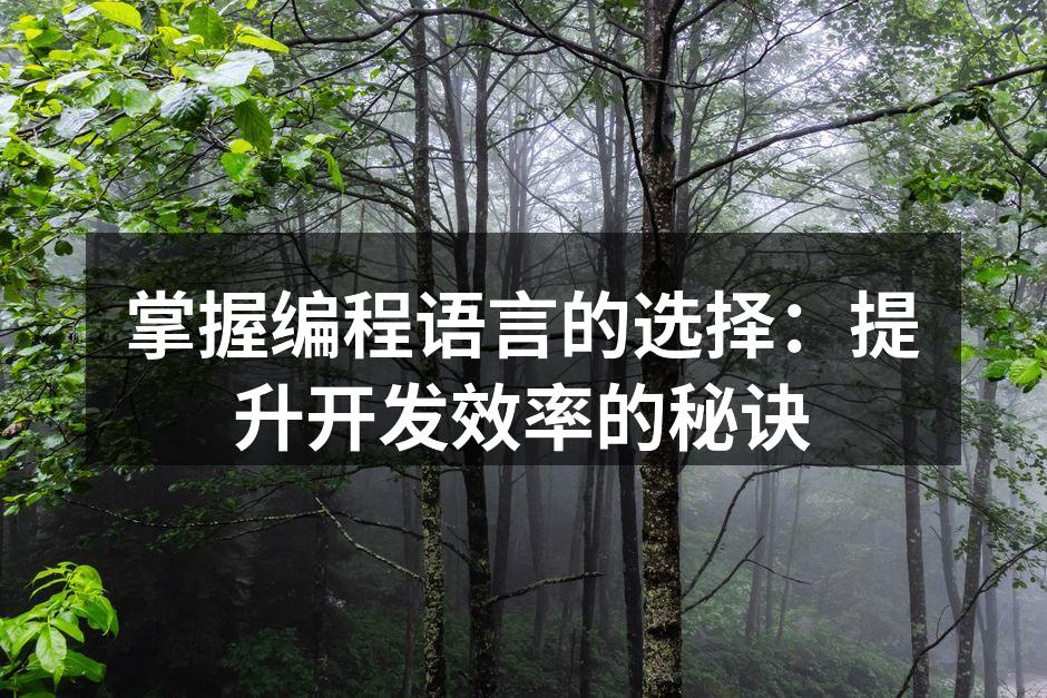 掌握编程语言的选择：提升开发效率的秘诀