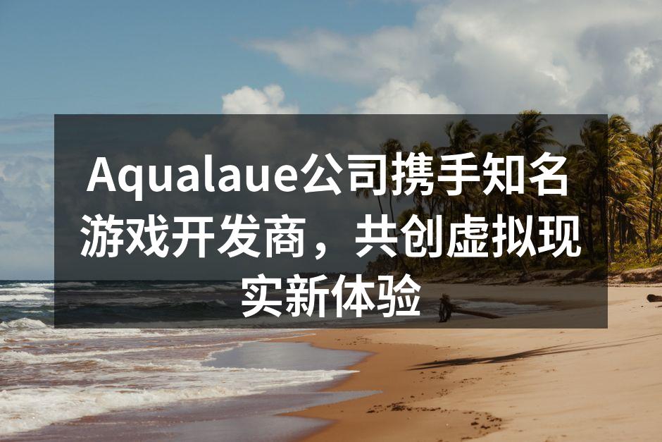 Aqualaue公司与合作伙伴共同探讨游戏开发