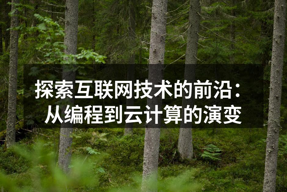 编程语言的发展历程